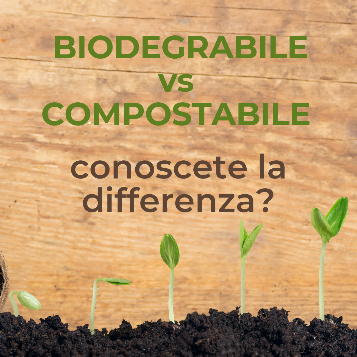 Differenza biodegradabile e compostabile