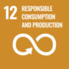 12-ESG-responsibile-consumption-and-production